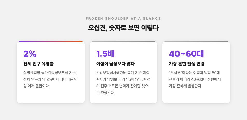오십견 핵심 통계