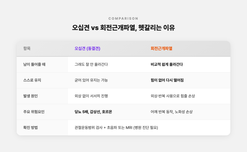 오십견과 회전근개파열을 5개 항목으로