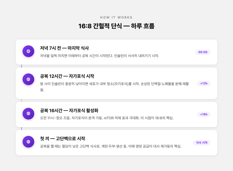 16:8 간헐적 단식 하루 흐름
