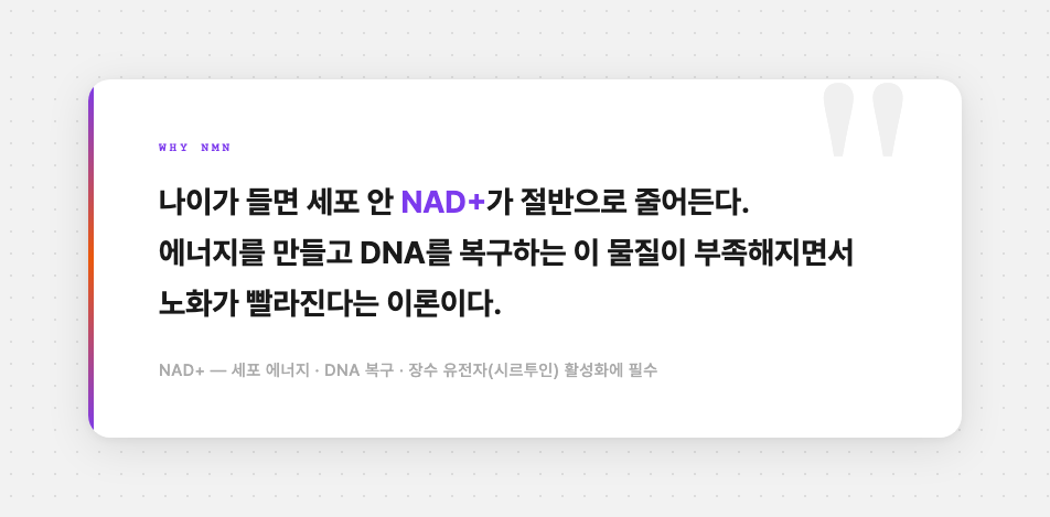 NAD+ 감소와 NMN 역할을 설명하