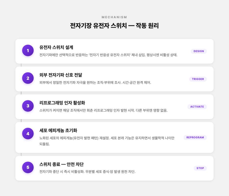 전자기장 유전자 스위치 작동 원리 5단계