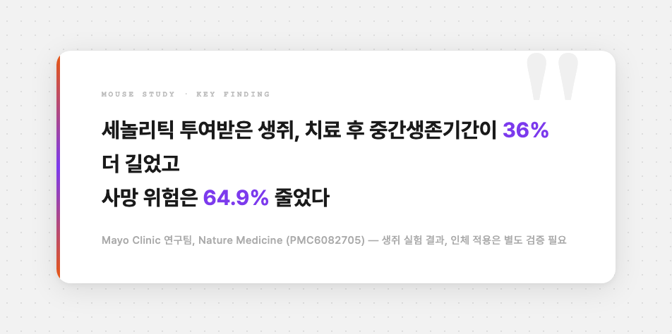 생쥐 실험 핵심 수치 인용 강조 카드