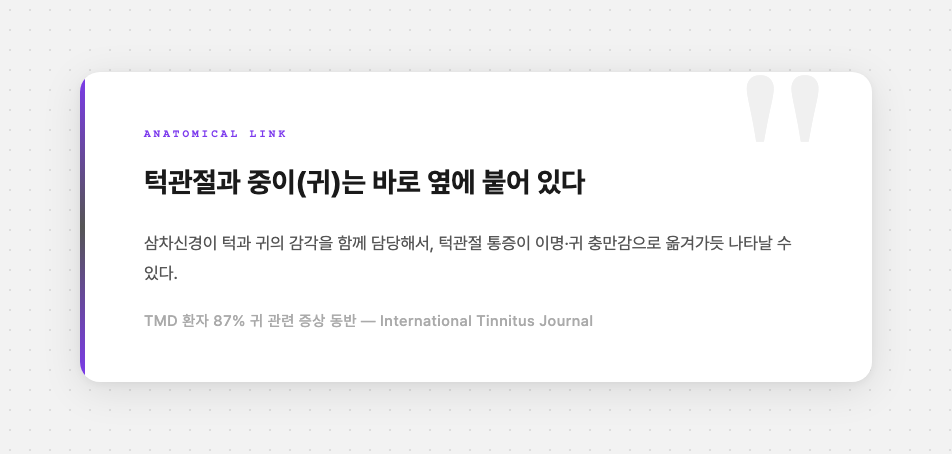 턱관절과 귀의 해부학적 근접성을 강조한