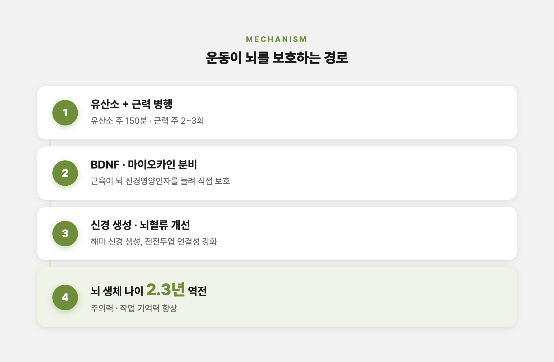 운동과 뇌 건강의 관계