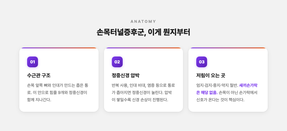 수근관 구조와 정중신경, 손가락 저림 영역 설명