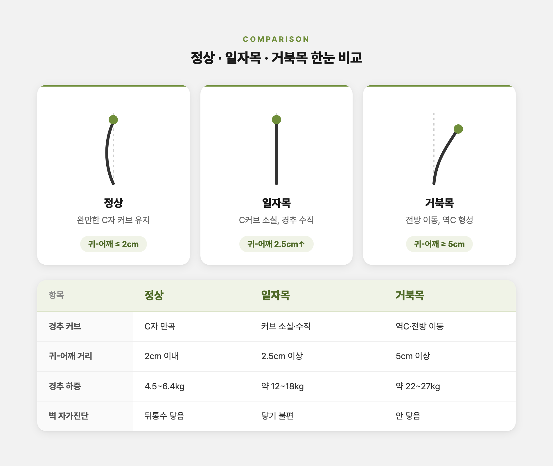 정상 경추 C커브와 일자목·거북목