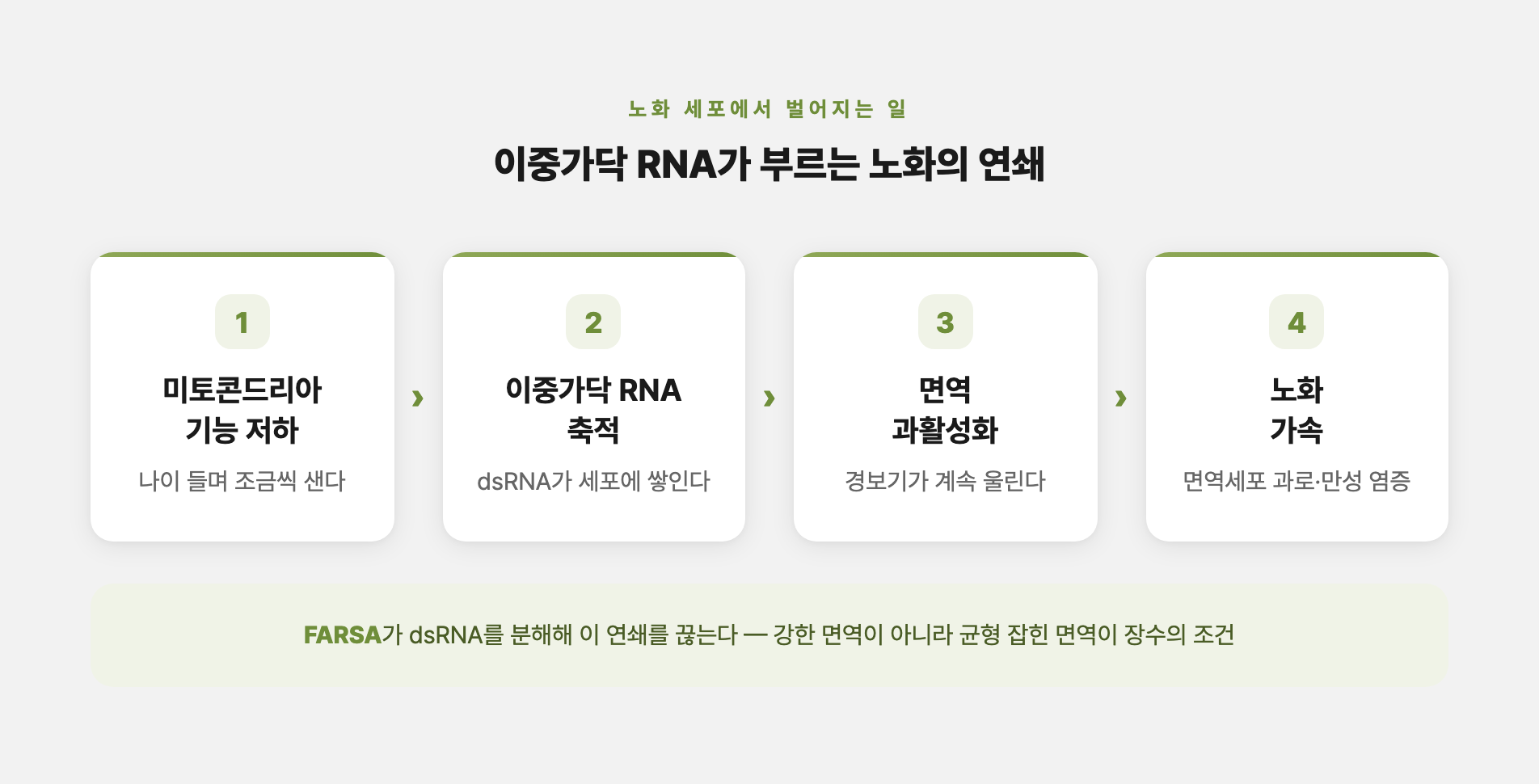 이중가닥 RNA와 면역 경보 작동 원리 설명
