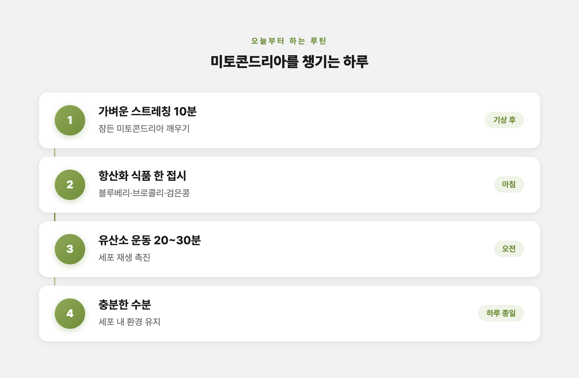 미토콘드리아 건강 루틴