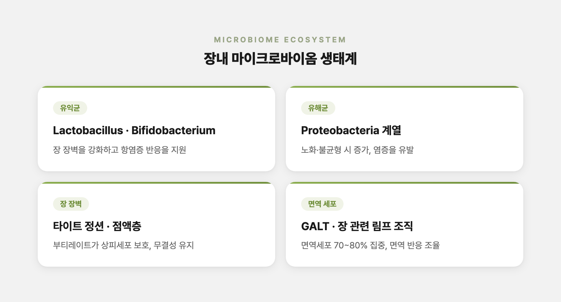 장내 마이크로바이옴 생태계를 표현한