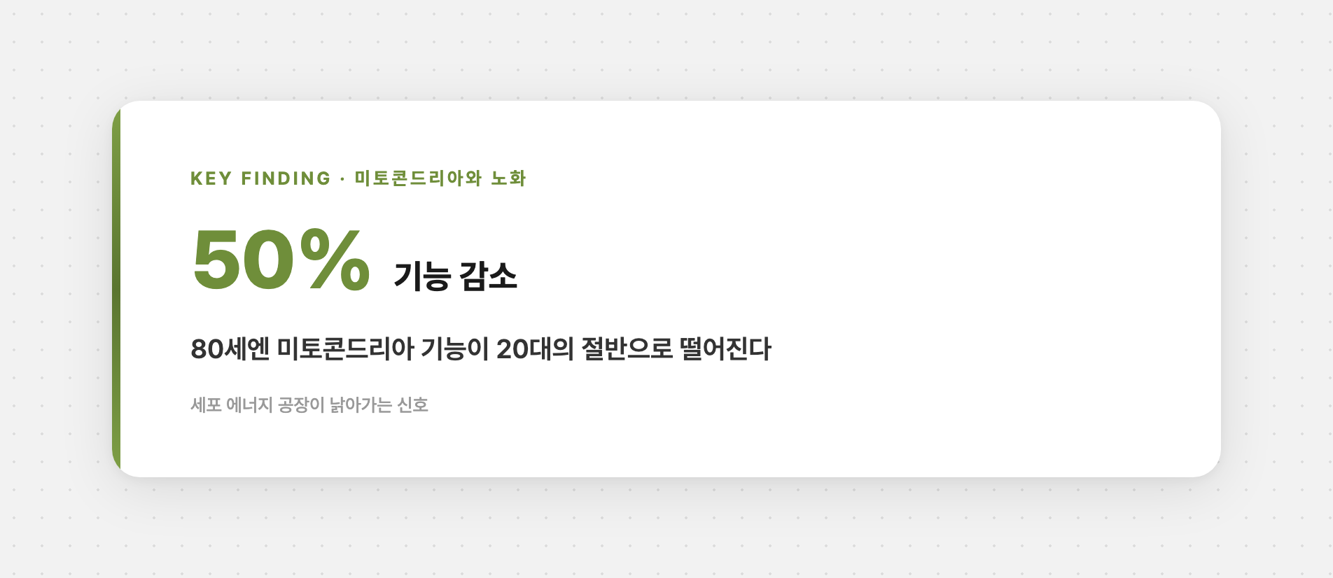 미토콘드리아 기능 감소