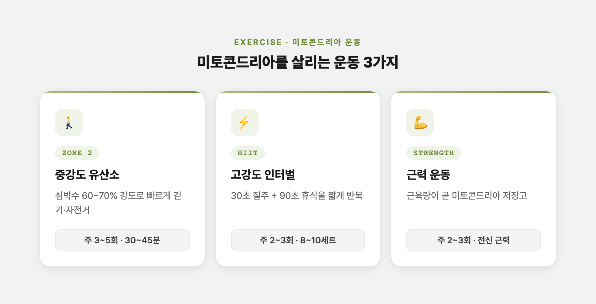 미토콘드리아 운동 3가지