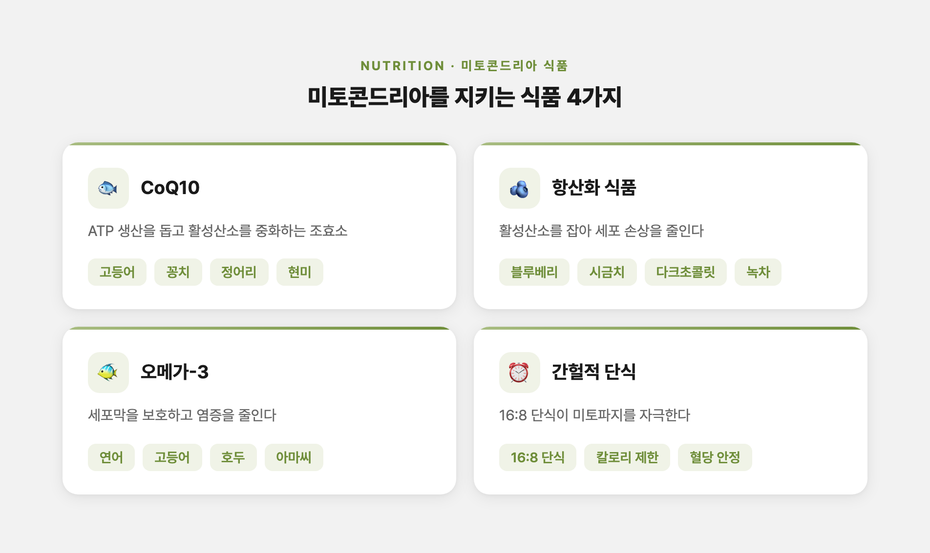 미토콘드리아 식품 4가지