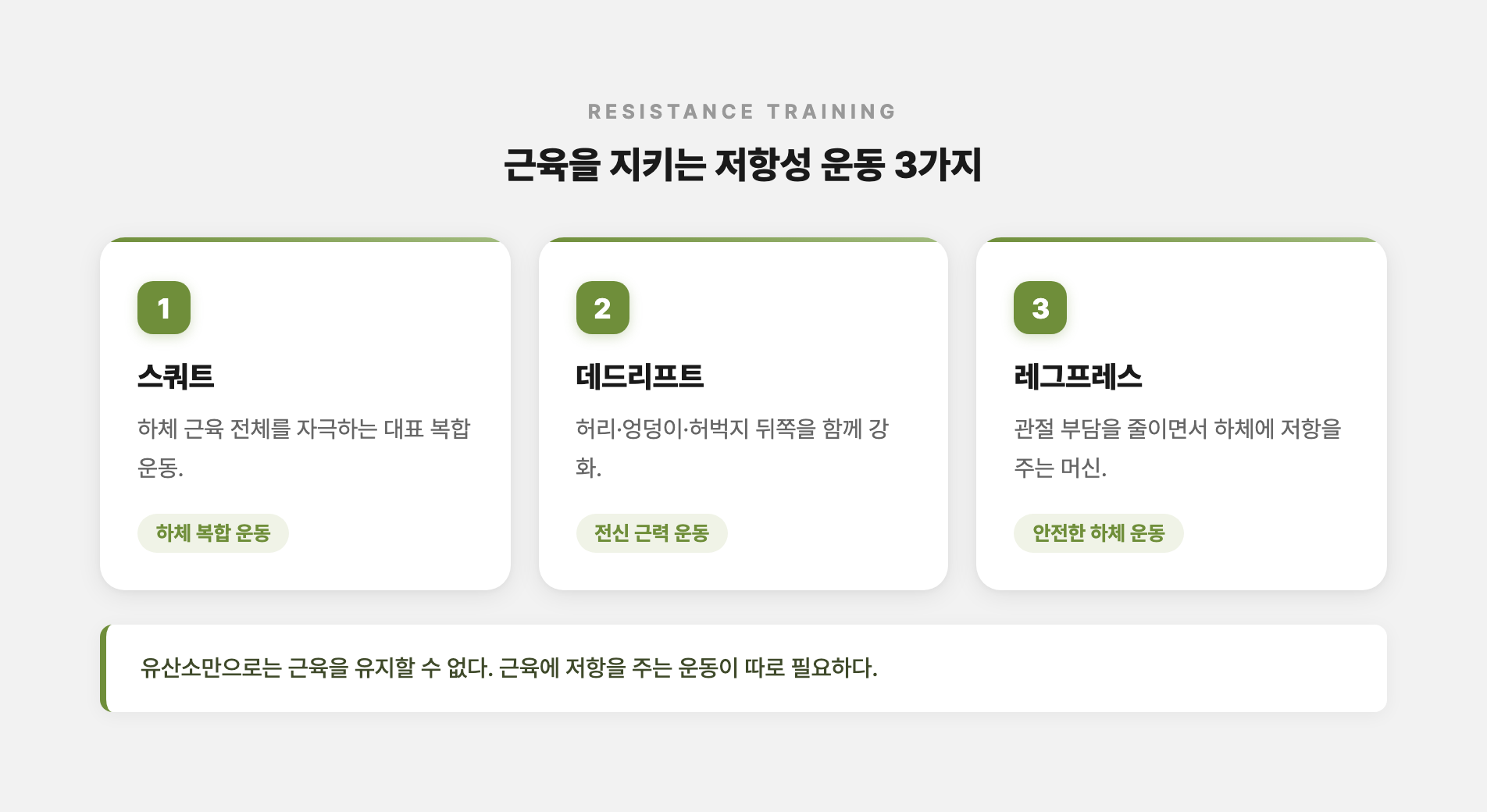 저항성 운동 동작