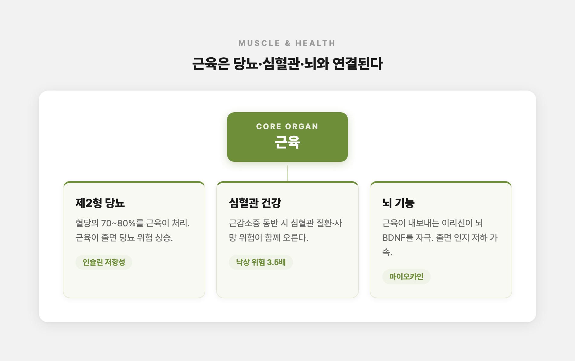 근육과 뇌·당뇨·심혈관 연결 관계를 표현한