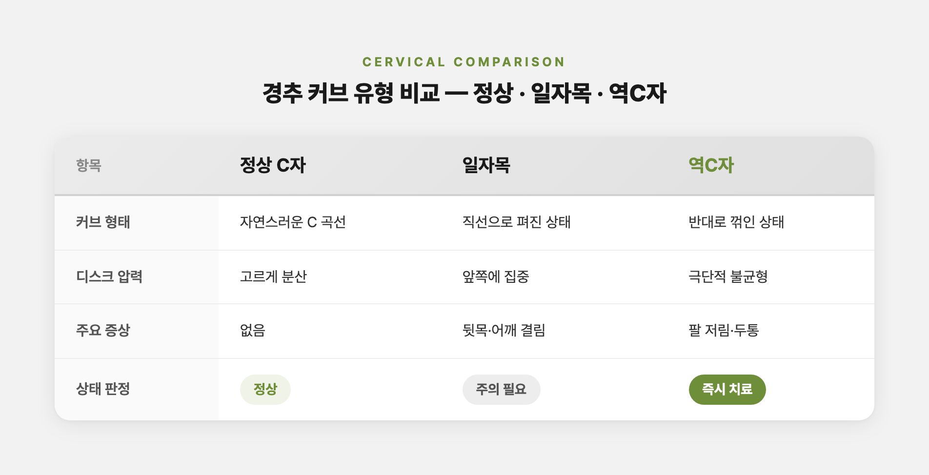 경추 커브 유형 비교